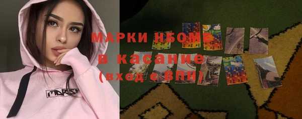 шишки Новокубанск