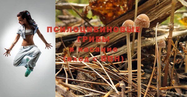 стаф Наволоки