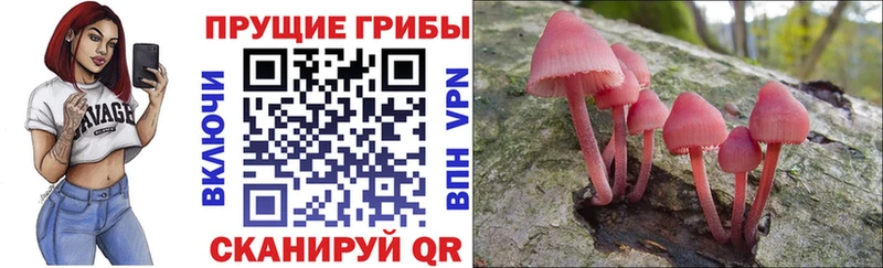 Псилоцибиновые грибы Psilocybine cubensis  Купить закладки  Анадырь 